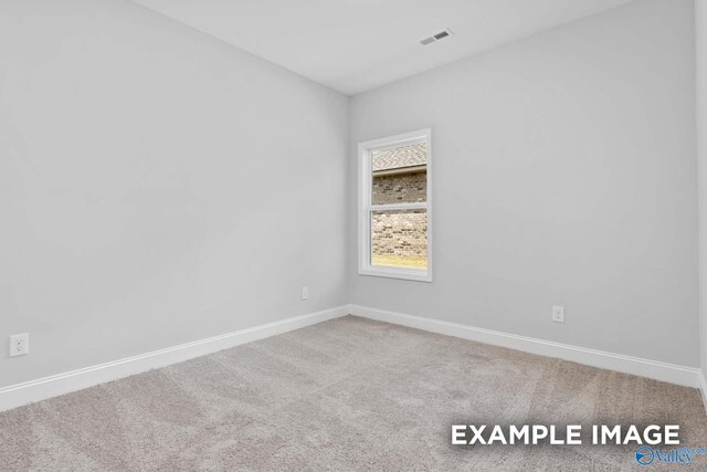 unfurnished room with carpet floors