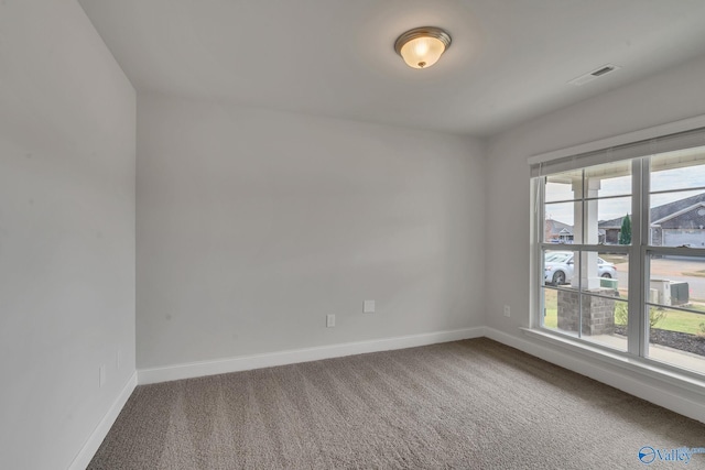 spare room featuring a wealth of natural light and carpet flooring