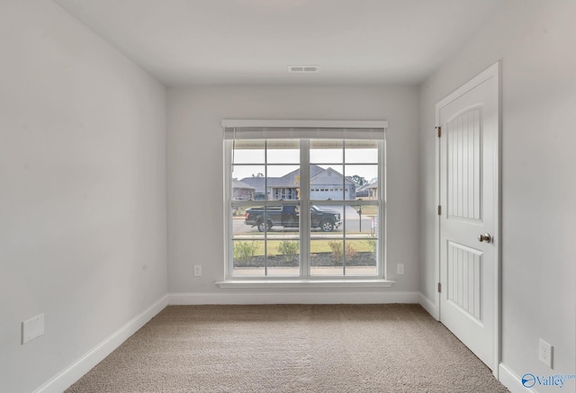 empty room featuring carpet floors and a wealth of natural light