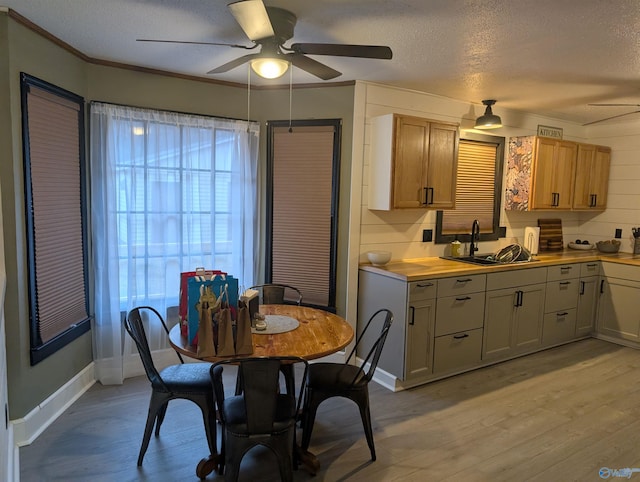 dining room featuring ceiling fan, sink, light hardwood / wood-style flooring, a textured ceiling, and ornamental molding