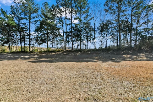 view of local wilderness