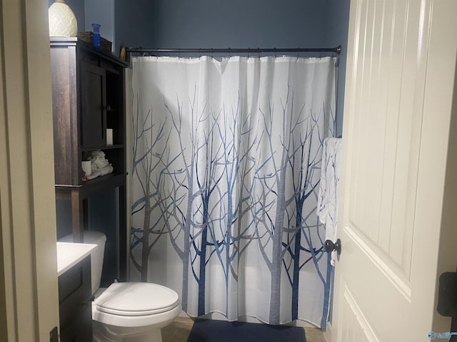 full bathroom featuring vanity, a shower with shower curtain, and toilet