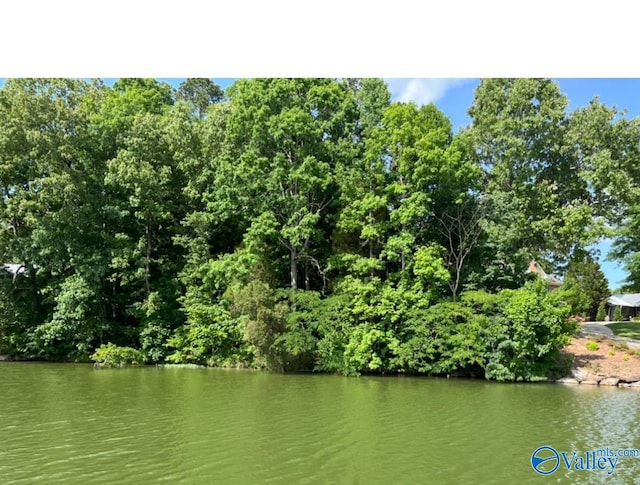 Listing photo 3 for LOT2 Frances Cir, Leesburg AL 35983