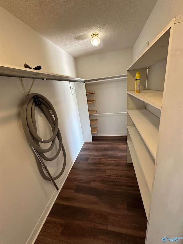 spacious closet with dark hardwood / wood-style floors