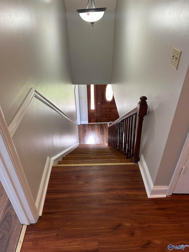 staircase with wood-type flooring