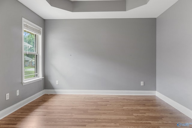 29929 Park Hill Dr, Madison, AL 35757 - unfurnished room featuring light wood-style flooring, baseboards, and a tray ceiling