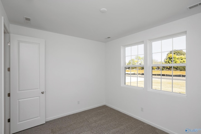 unfurnished room with carpet flooring