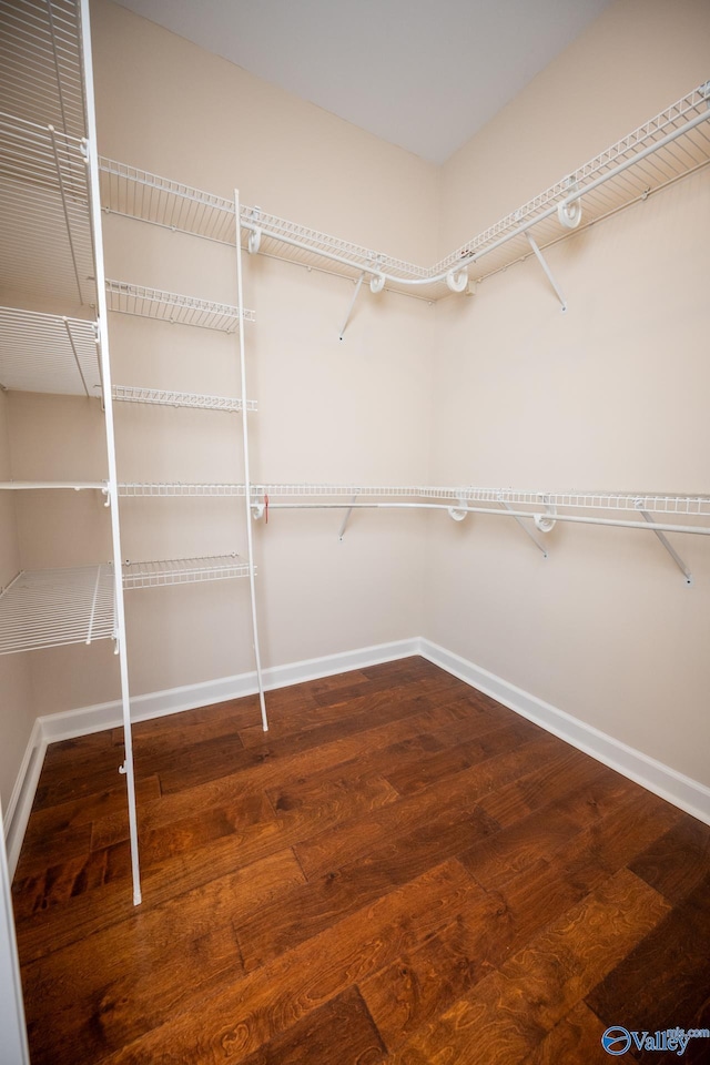 walk in closet featuring wood finished floors