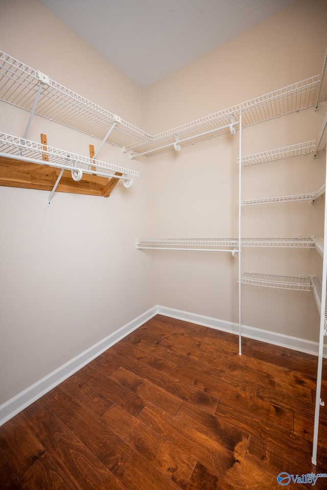 walk in closet featuring wood finished floors