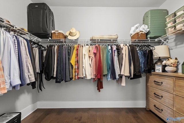 spacious closet featuring dark wood-style flooring