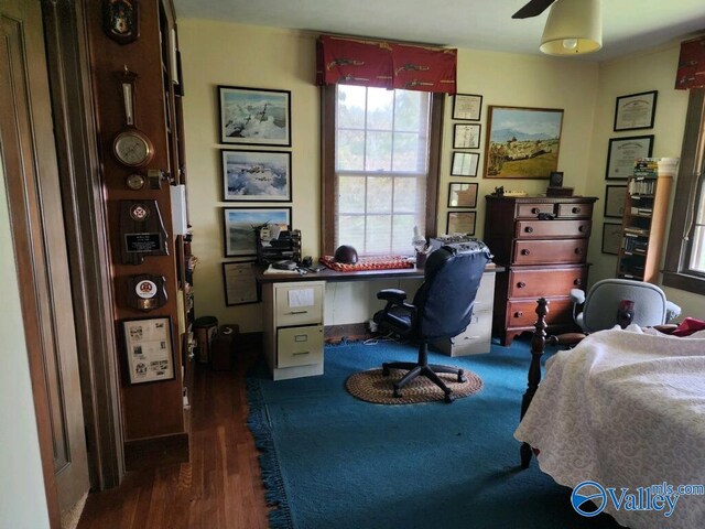 bedroom featuring dark hardwood / wood-style floors and ceiling fan