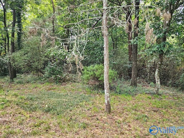 view of nature with a forest view