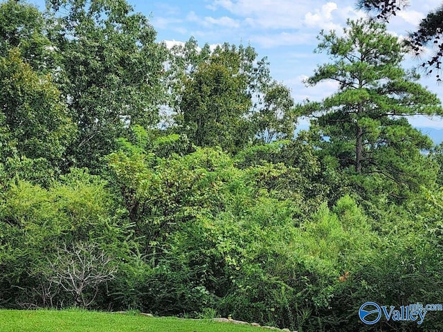 view of landscape featuring a wooded view