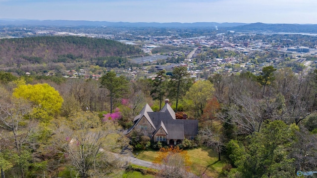 birds eye view of property featuring a mountain view and a view of trees