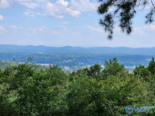 mountain view featuring a forest view