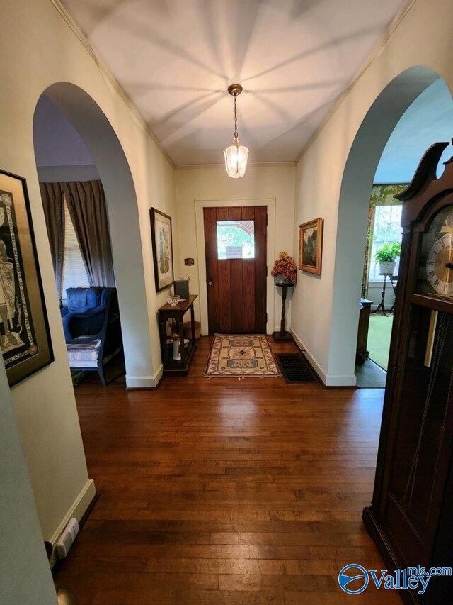 foyer featuring ornamental molding, dark hardwood / wood-style floors, and a wealth of natural light