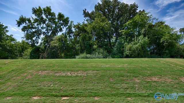 view of nature