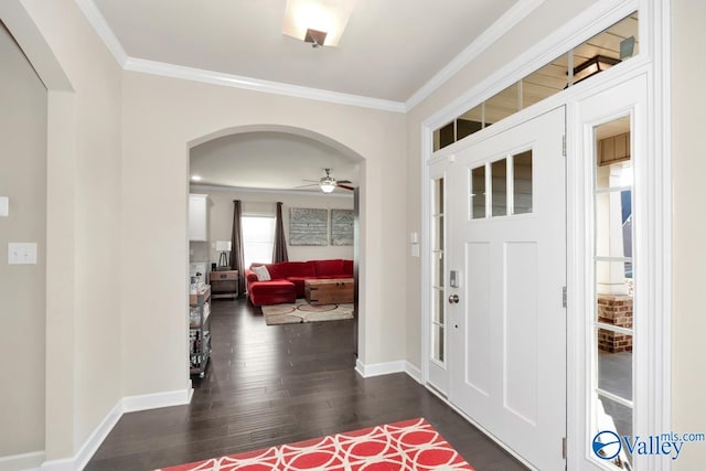 foyer featuring crown molding, dark hardwood / wood-style flooring, and ceiling fan