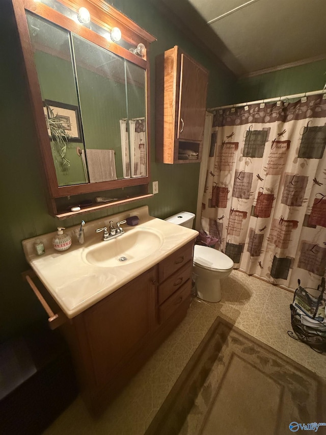 bathroom featuring vanity, walk in shower, and toilet