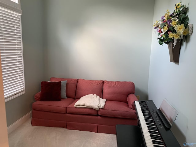 living area with carpet and baseboards