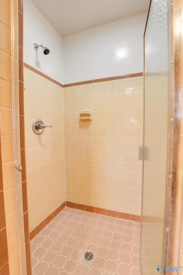 bathroom featuring a shower stall