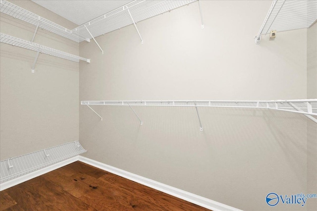 spacious closet featuring wood finished floors