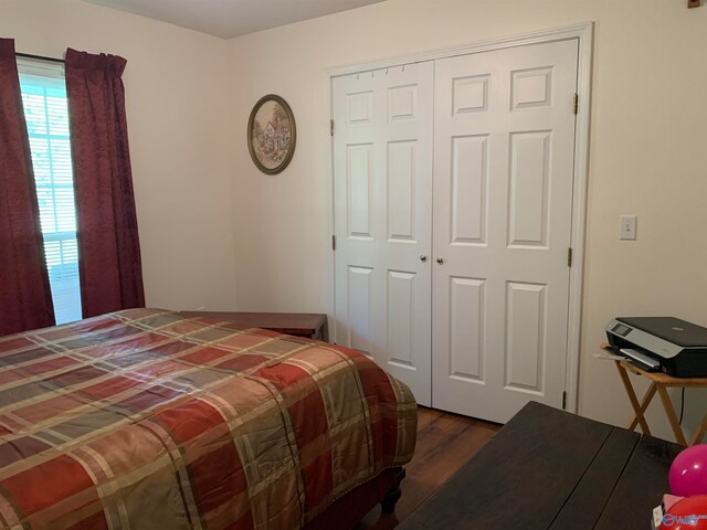 bedroom featuring dark hardwood / wood-style flooring and a closet