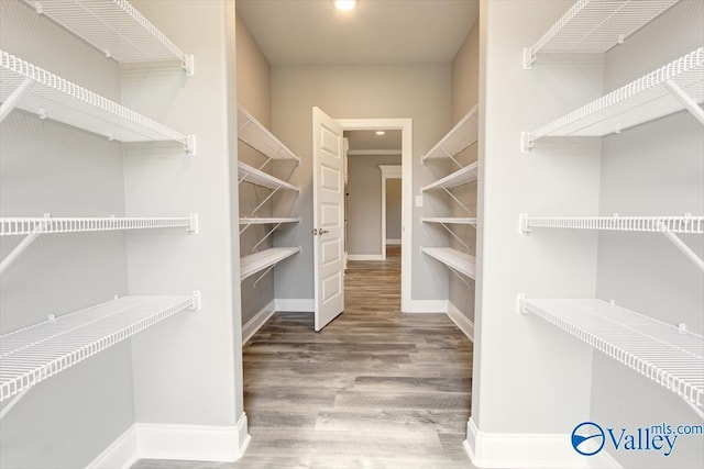 spacious closet featuring wood-type flooring