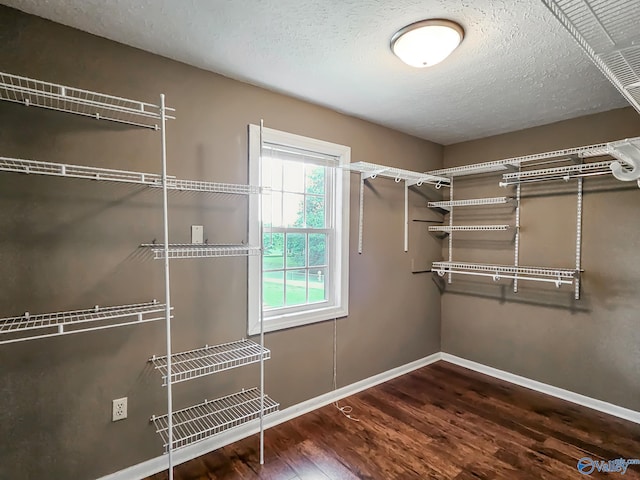 walk in closet with dark wood-style floors