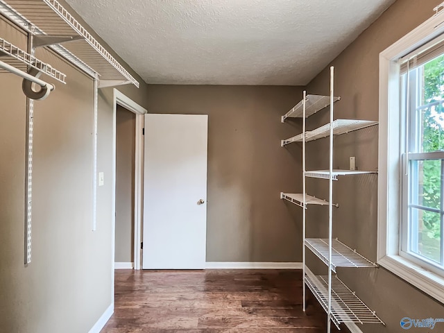 spacious closet with dark wood-style flooring