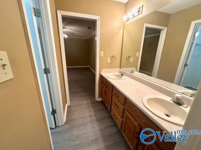 bathroom featuring vanity and wood-type flooring