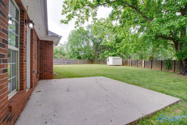 view of yard with a patio area, a storage shed, and an outbuilding