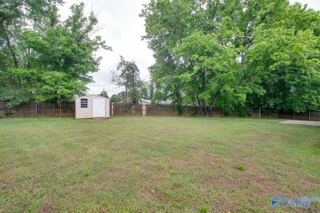 view of yard featuring a storage shed and an outdoor structure