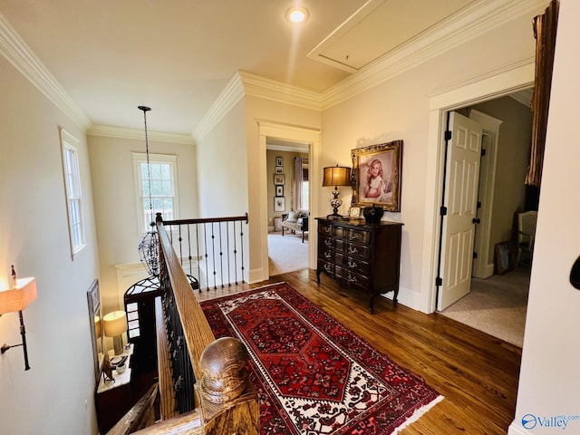 hall featuring dark hardwood / wood-style flooring and crown molding