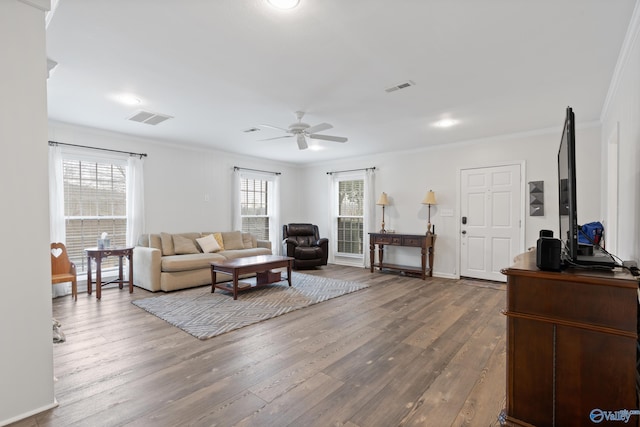 living room with wood-type flooring, a wealth of natural light, and ceiling fan