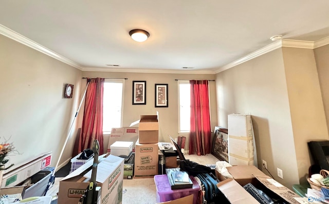 office with light colored carpet and crown molding