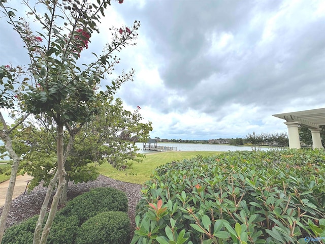 view of water feature