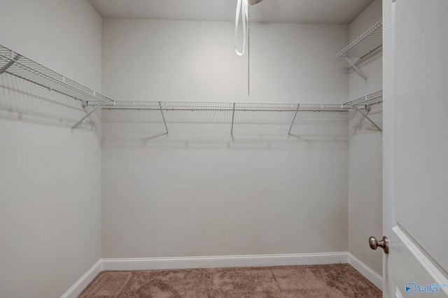 104 Pointe Haven Ct, Huntsville, AL 35824 - walk in closet with carpet floors