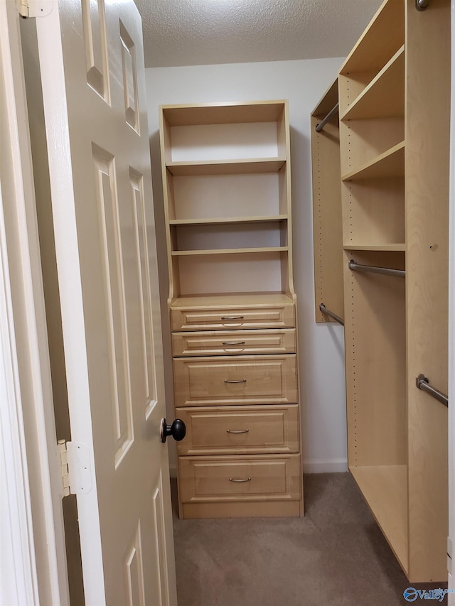 walk in closet featuring dark colored carpet