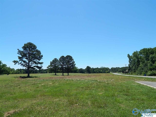 LOTS9-20 Haynes Rd, Arab AL, 35016 land for sale