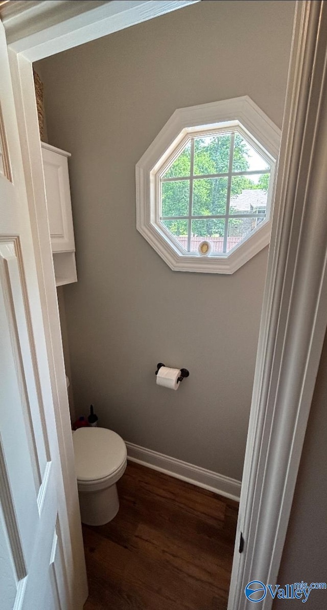 103 Covey Ln, Hazel Green, AL 35750 - bathroom with wood finished floors and toilet