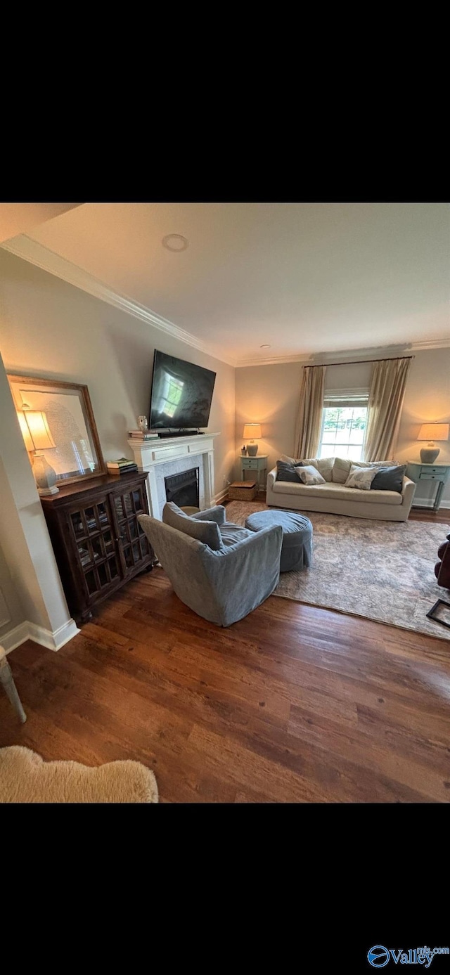 103 Covey Ln, Hazel Green, AL 35750 - living area featuring a fireplace, wood finished floors, and crown molding