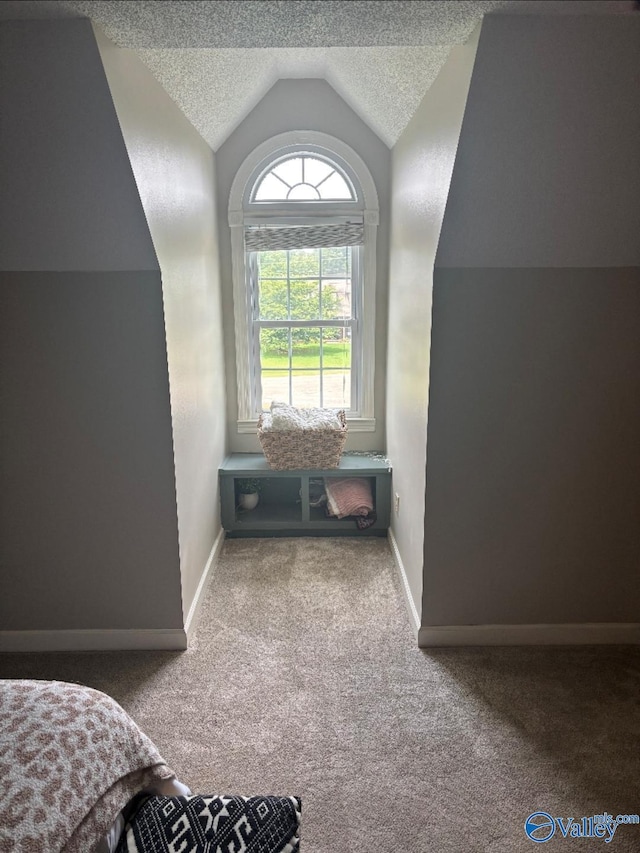 103 Covey Ln, Hazel Green, AL 35750 - bonus room with vaulted ceiling, carpet, and a textured ceiling