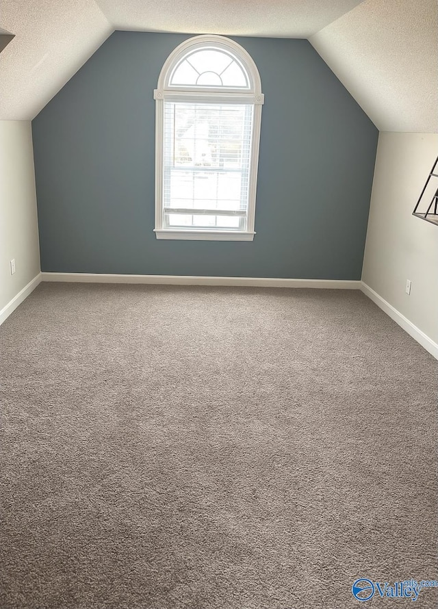 103 Covey Ln, Hazel Green, AL 35750 - additional living space featuring lofted ceiling, a textured ceiling, and carpet floors