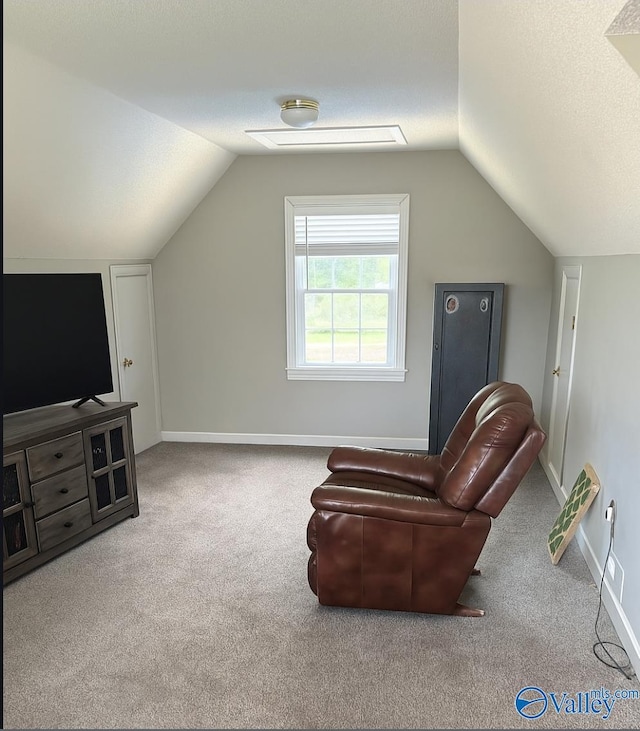 103 Covey Ln, Hazel Green, AL 35750 - living area with carpet and vaulted ceiling