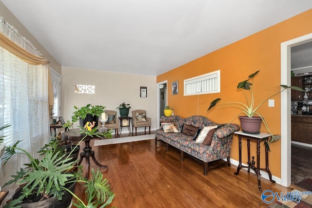 living room with wood-type flooring