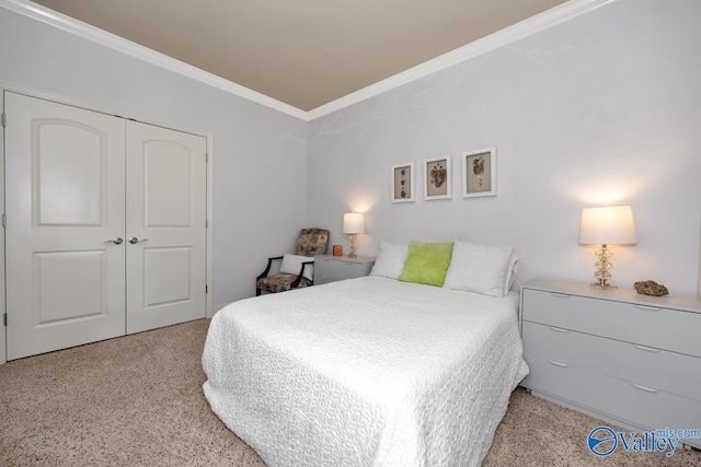 2906 Pasture View Ln, Owens Cross Roads, AL 35763 - carpeted bedroom featuring ornamental molding and a closet