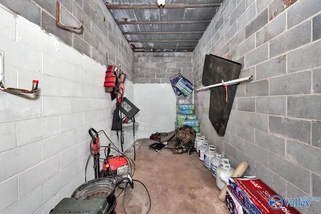 12956 Hickory Hills Rd, Athens, AL 35614 - view of storage area