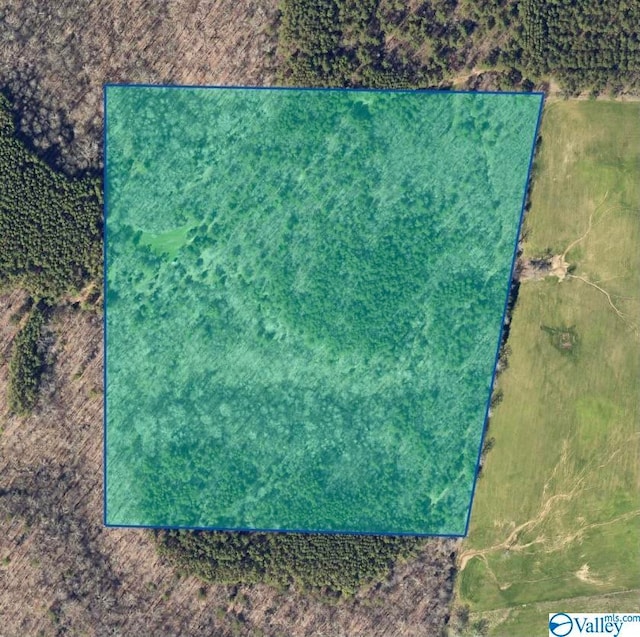 36ACRES County Road 560, Moulton AL, 35650 land for sale