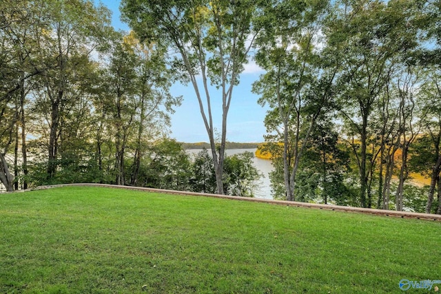 view of yard featuring a water view